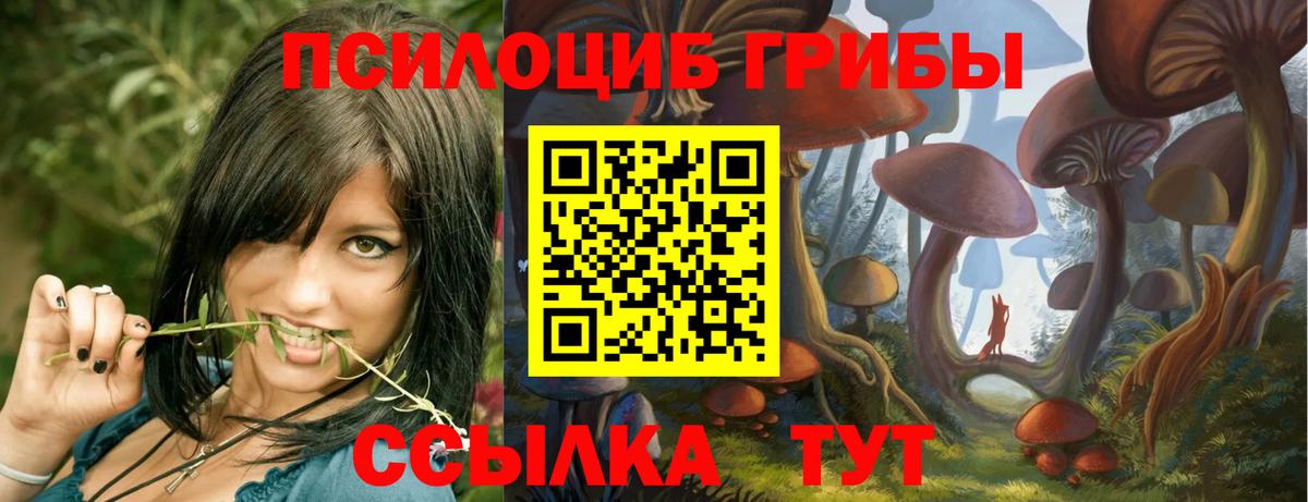 Псилоцибиновые грибы MAGIC MUSHROOMS Зерноград