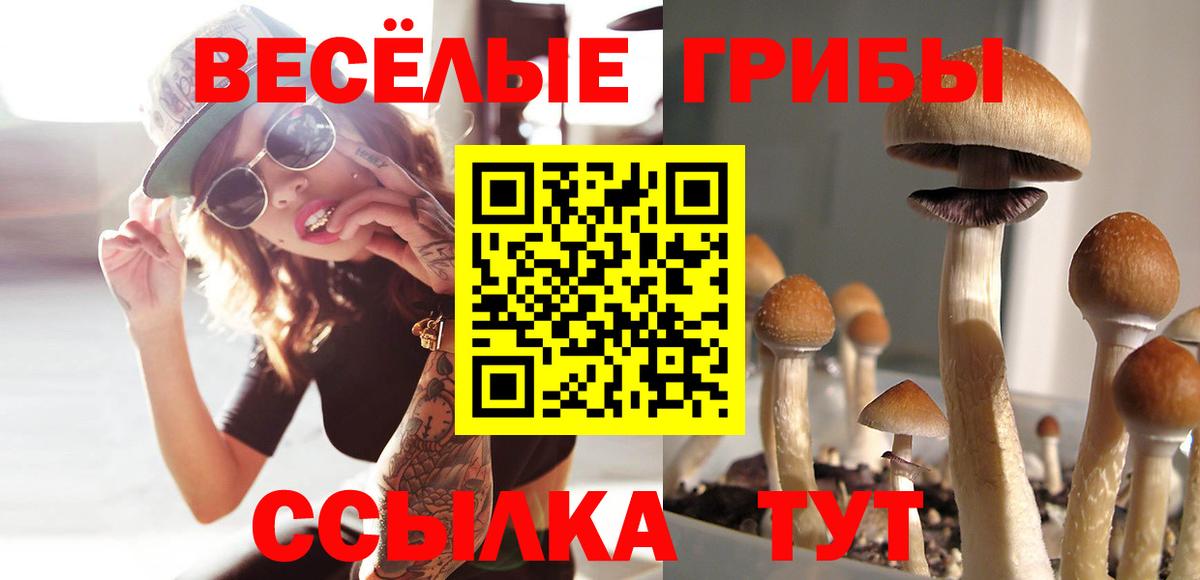 Псилоцибиновые грибы ЛСД  Вход с VPN  Зерноград  Галлюциногенные грибы мухоморы 